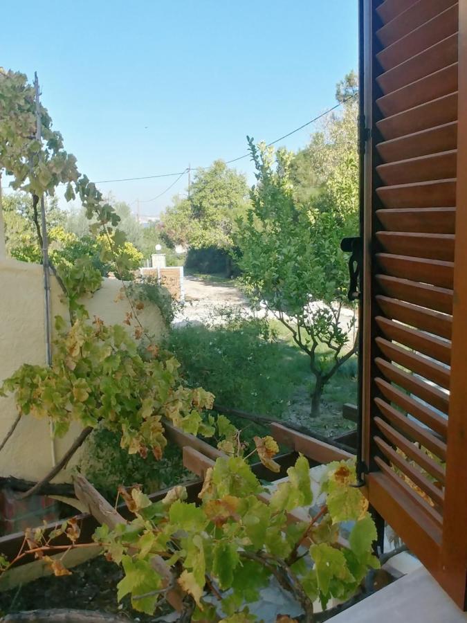 Ζini 2 Villa Kéfalos Eksteriør bilde